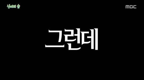 [스압] 신비의 숲.jpg