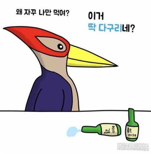 새들이 술먹을때 하는말.jpg