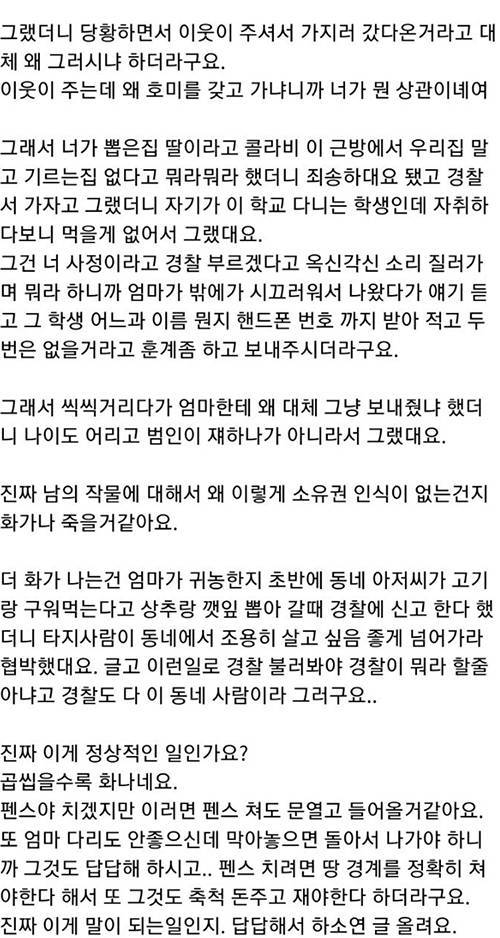 동네사람들이 자꾸 텃밭에서 훔쳐가요.jpg