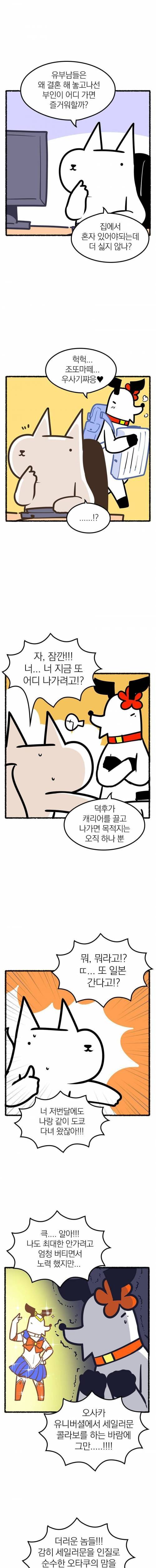 [스압] 오덕 아내를 둔 작가의 일상.jpg
