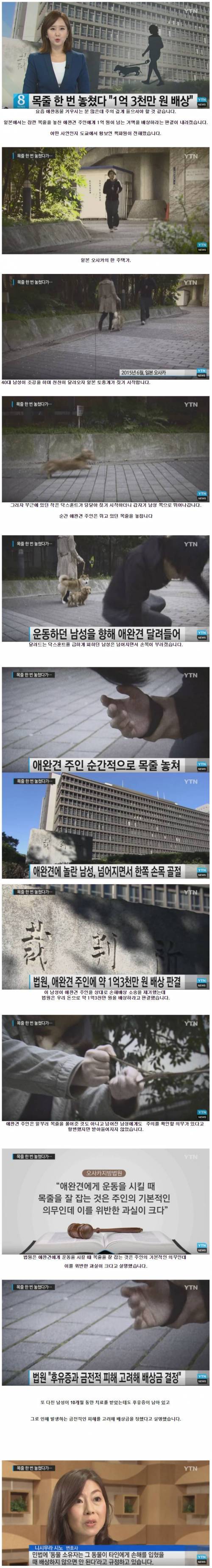 애완견의 목줄.jpg