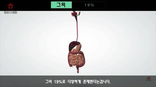 [스압] 우리가 몰랐던 기초대사량의 진실.jpg