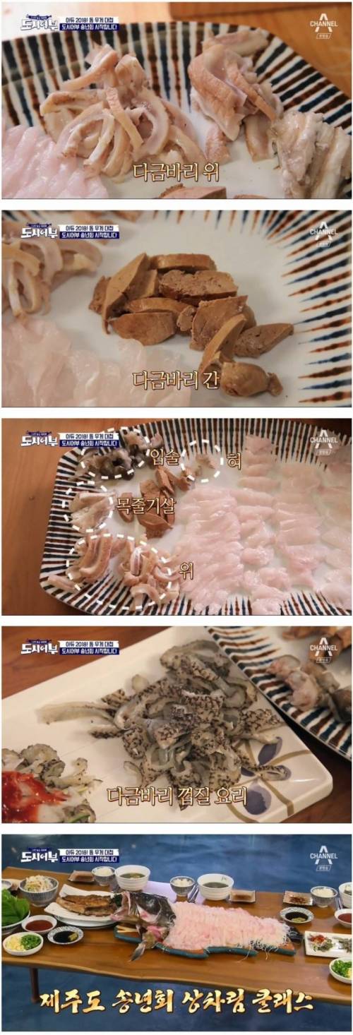 시가 180만원짜리 물고기.gif