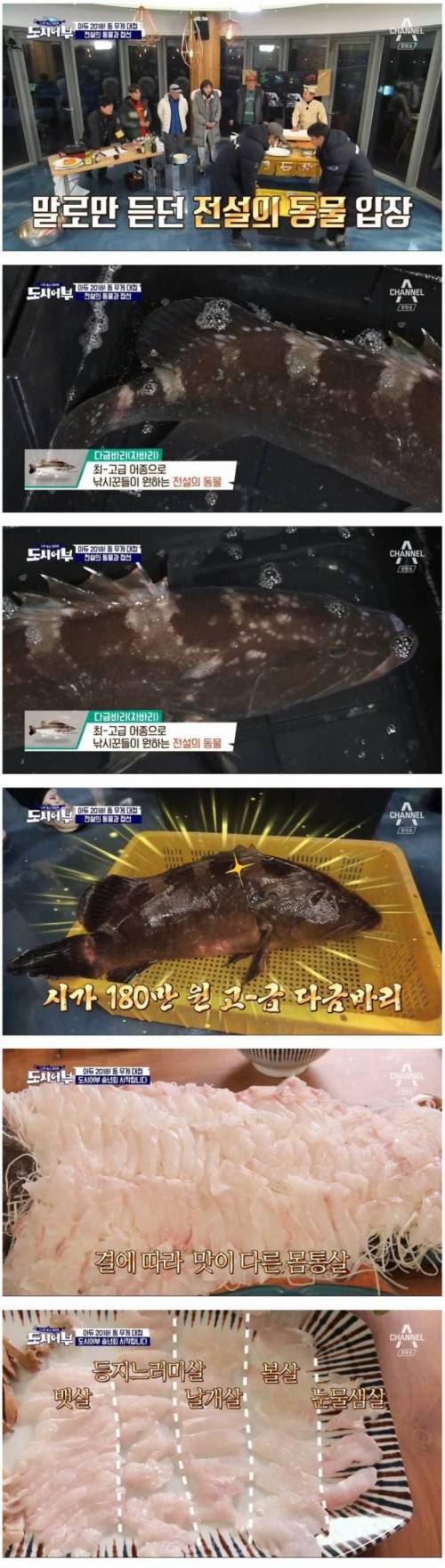 시가 180만원짜리 물고기.gif