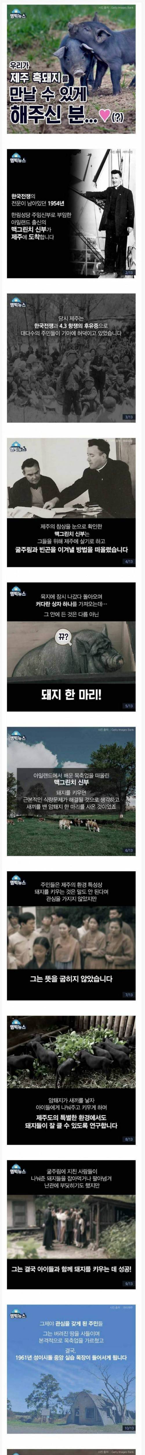 [스압] 제주 흑돼지의 탄생.jpg