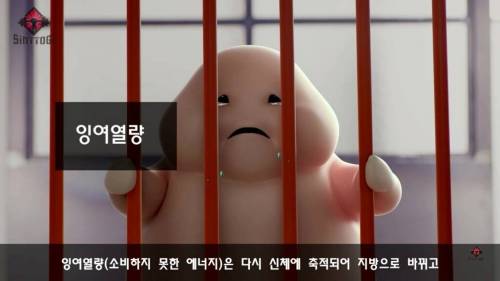 [스압] 우리가 몰랐던 기초대사량의 진실.jpg