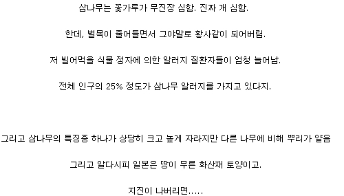 일본이 국책사업으로 심은 나무.jpg