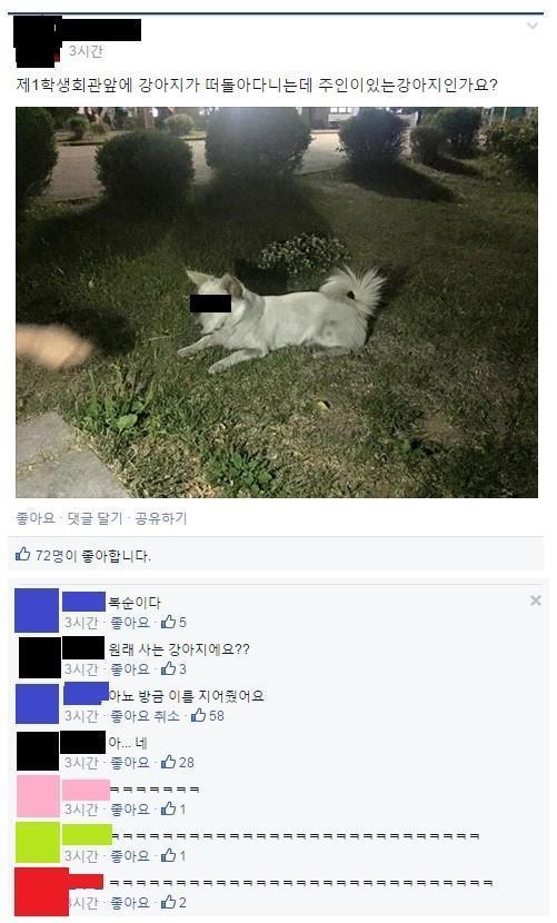 주인있어요?