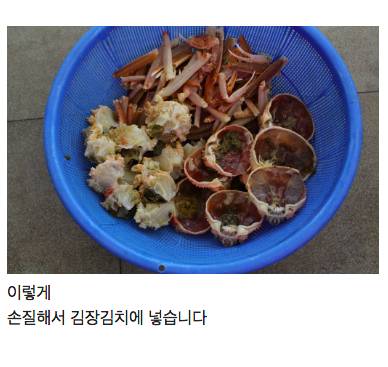 [스압] 횟집이 김장을 하면....jpg