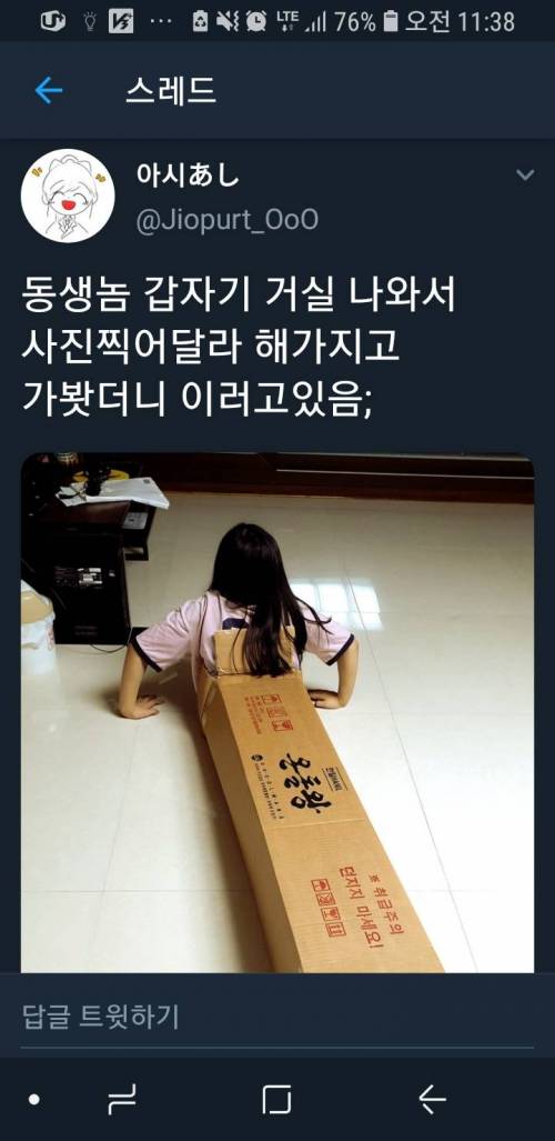 트위터의 흔한 여동생.jpg