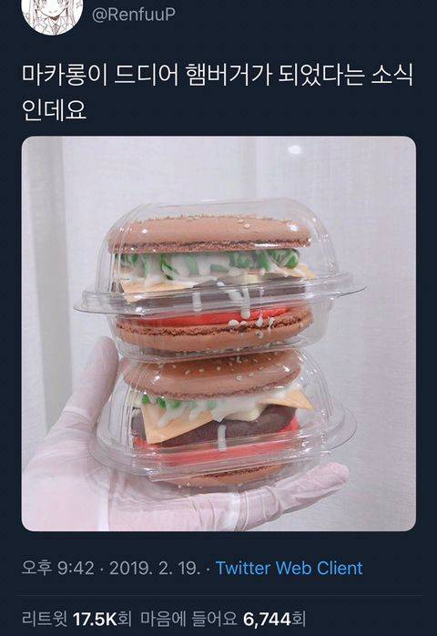 요즘 마카롱.jpg