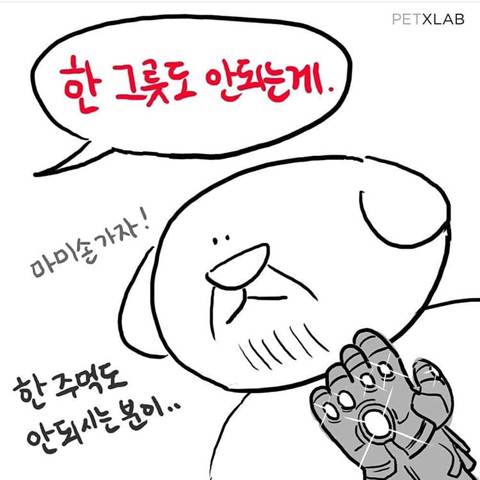 댕댕이 산책하다 들으면 빡치는 말.jpg