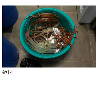 [스압] 횟집이 김장을 하면....jpg