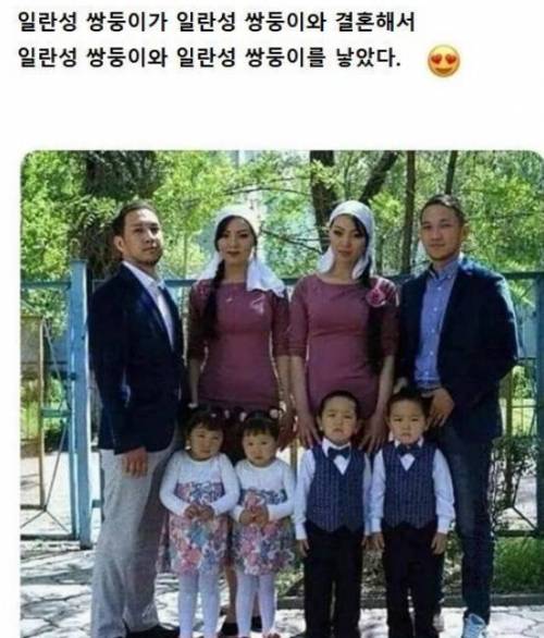 쌍둥이가 쌍둥이와 결혼해서 쌍둥이를 낳았다.jpg