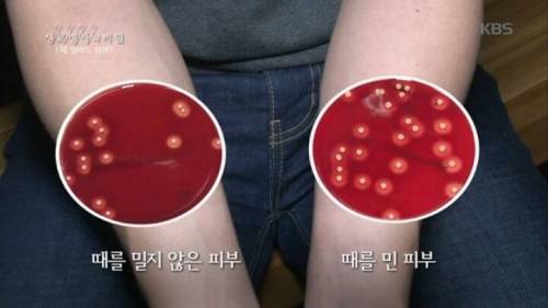 [스압] 때밀기가 피부에 미치는 영향.jpg