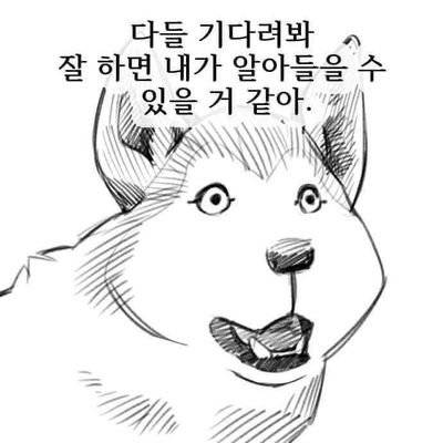 학교폭력 예방법.jpg