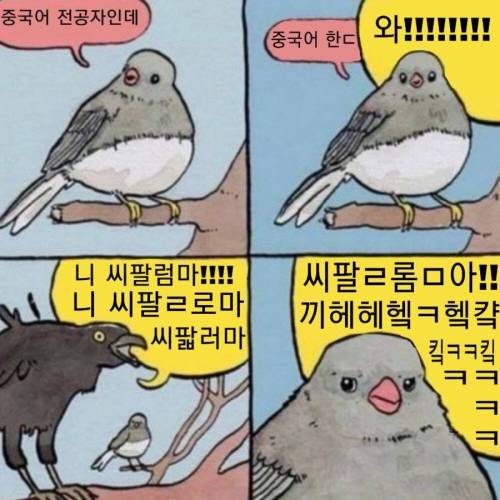 중국어 전공자 공감.jpg