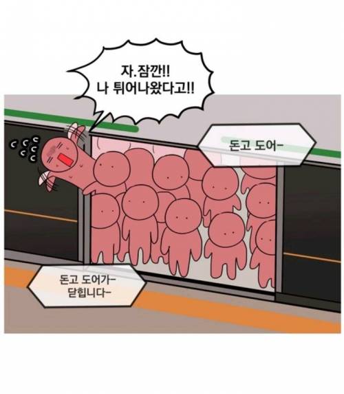 돈고도어-! 돈고도어가 열립니다-.jpg