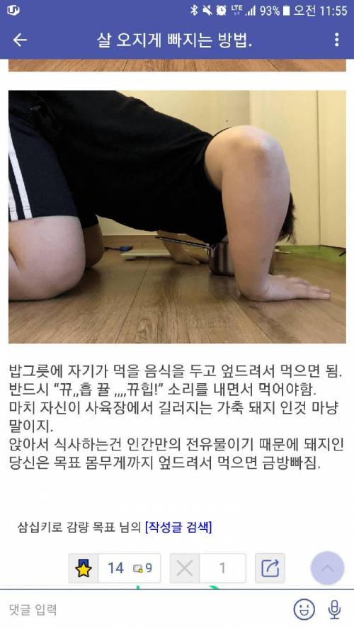 [스압] 미쳐가는 다이어트 갤러리.jpg