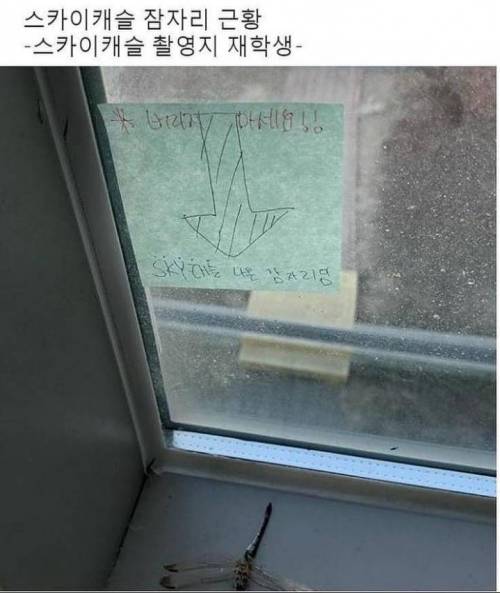스카이캐슬 잠자리 근황.jpg
