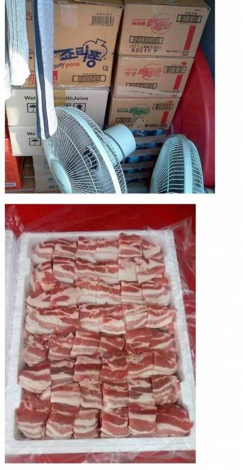 어느 자취생의 식량 사재기.jpg