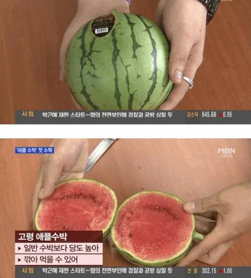 애플 수박.jpg