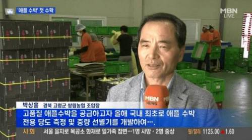 애플 수박.jpg