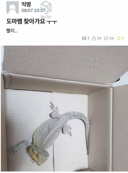 그렇게 주인님이 된다.jpg