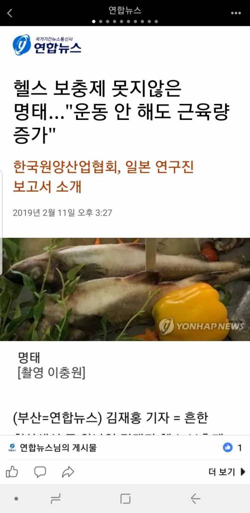 명태가 답이다.jpg