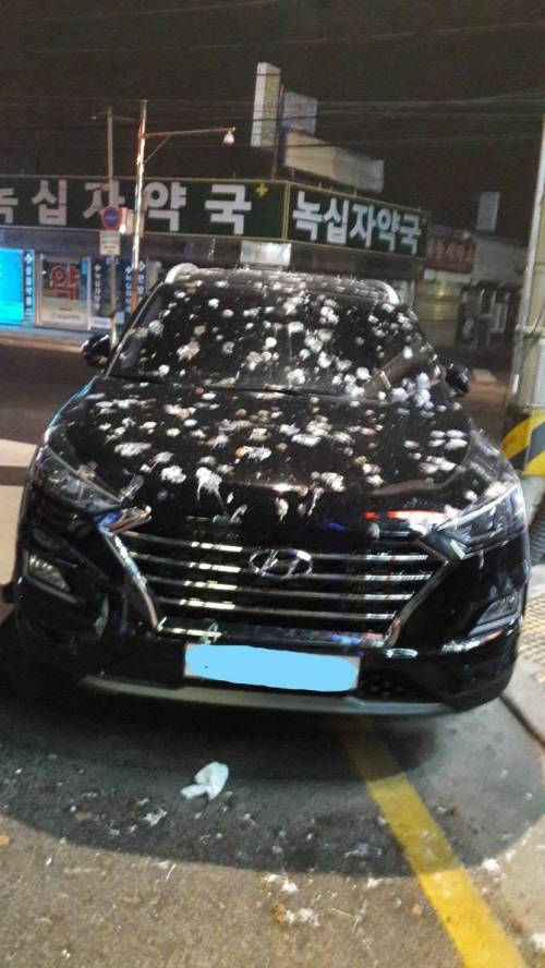 횡단보도 불법주차에 천벌..jpg