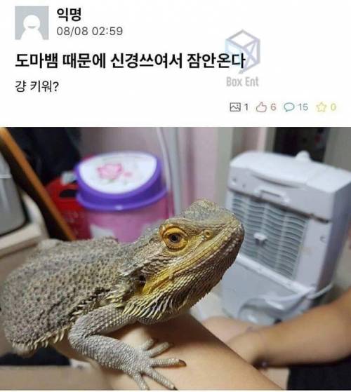 그렇게 주인님이 된다.jpg