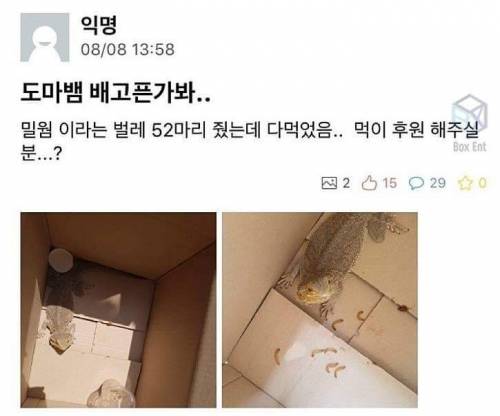 그렇게 주인님이 된다.jpg