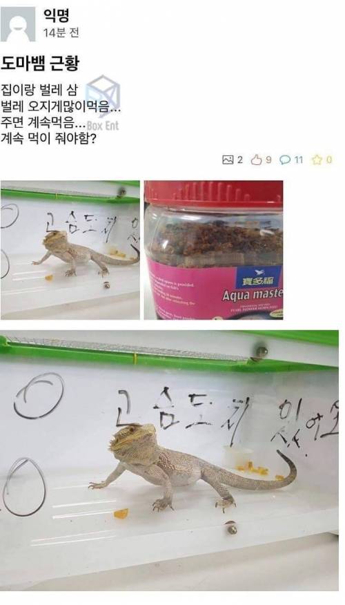 그렇게 주인님이 된다.jpg
