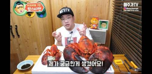 300,000원짜리 랍스타 수준.jpg