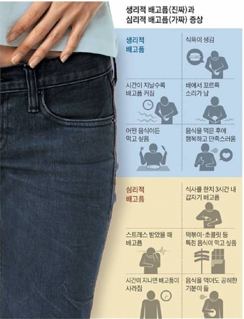 가짜 배고픔과 진짜 배고픔 구별.jpg