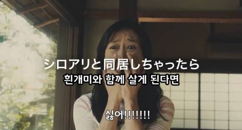 [스압] 열도의  광고.jpg