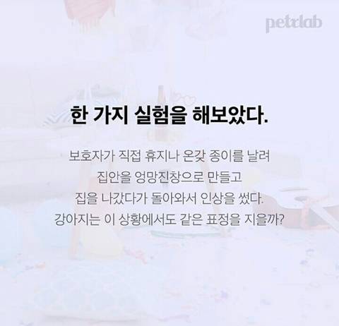 강아지가 이런 표정 짓는 이유.jpg