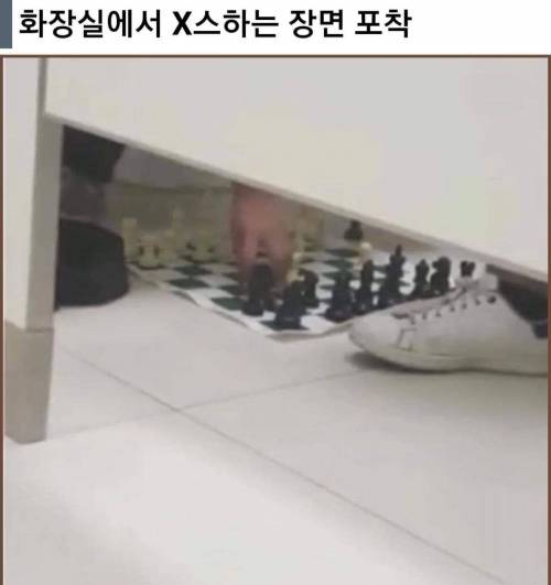 화장실에서 몰래 X스하는 장면 포착.jpg