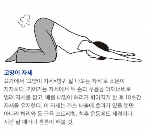 가스 찼을때 방귀 잘나오는 자세