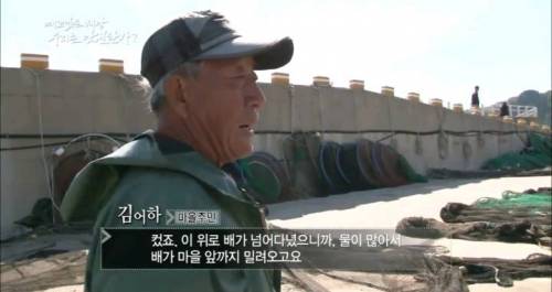 과거 우리나라에 피해를 줬던 쓰나미.jpg