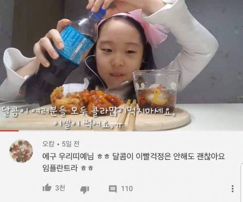 초딩 유튜버 띠예 댓글 근황