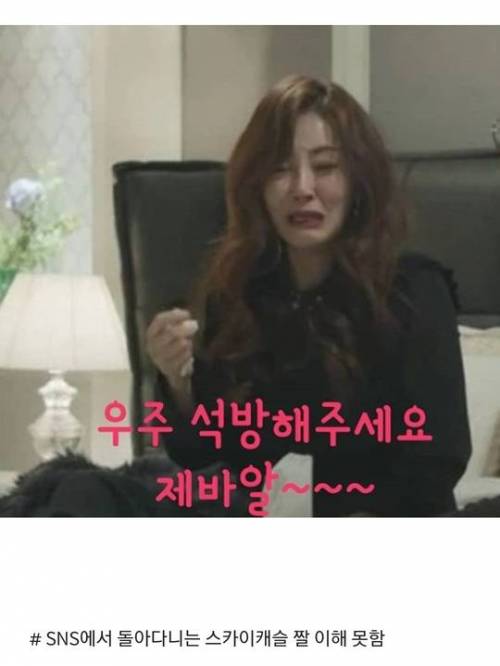 [스압] 스카이캐슬 안 본 사람 특.jpg