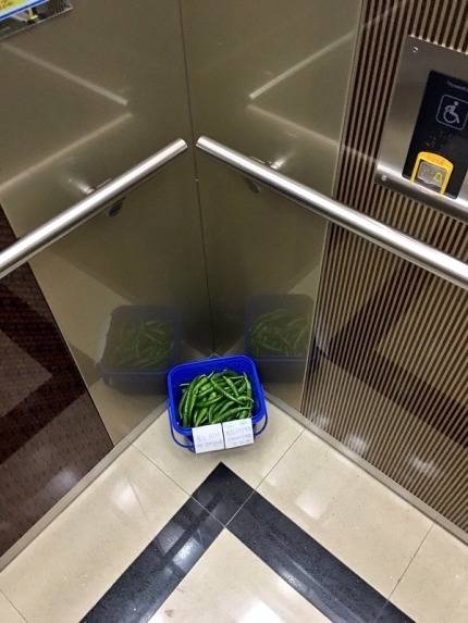 아파트 엘리베이터 놓여있는 고추.jpg