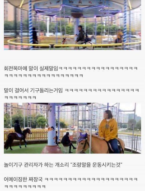대륙의 회전목마.jpg