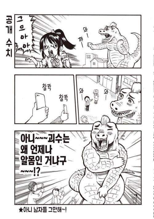 [스압] 소녀랑 굇수랑 몸 바뀌는 만화.jpg