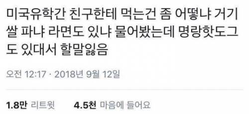 미국 유학간 친구에게 먹는건 좀 어떻냐고 물어봤다