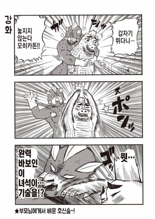 [스압] 소녀랑 굇수랑 몸 바뀌는 만화.jpg