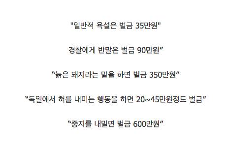 독일의 벌금 제도.jpg