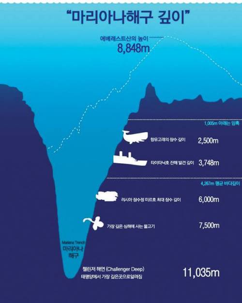 지구상 가장 깊은 바다.jpg