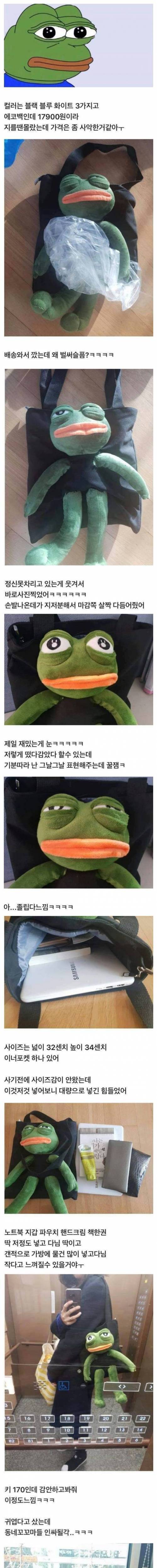 [스압] 에코백 후기.jpg